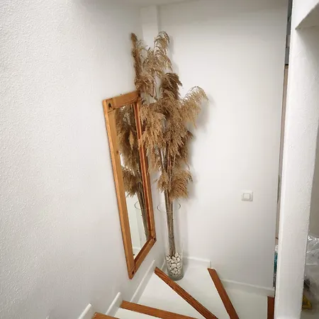 Con Encanto Appartamento *
