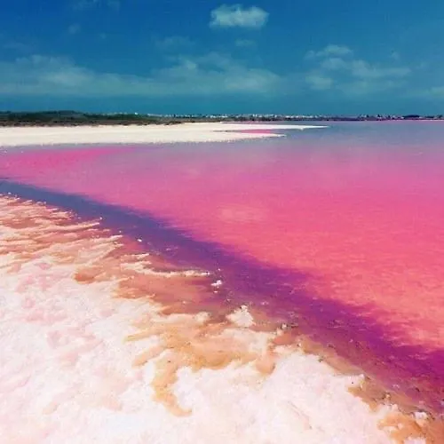 Con Encanto * Torrevieja